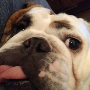 Meet your Posher, Bryan